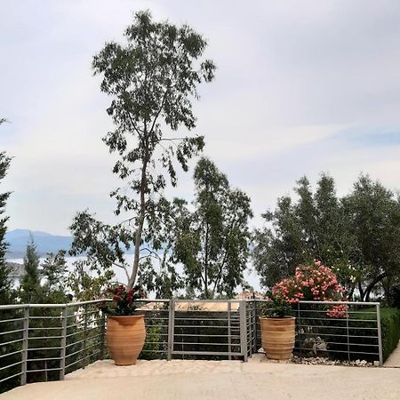 הוילה טולון Stone House In Olive Grove מראה חיצוני תמונה