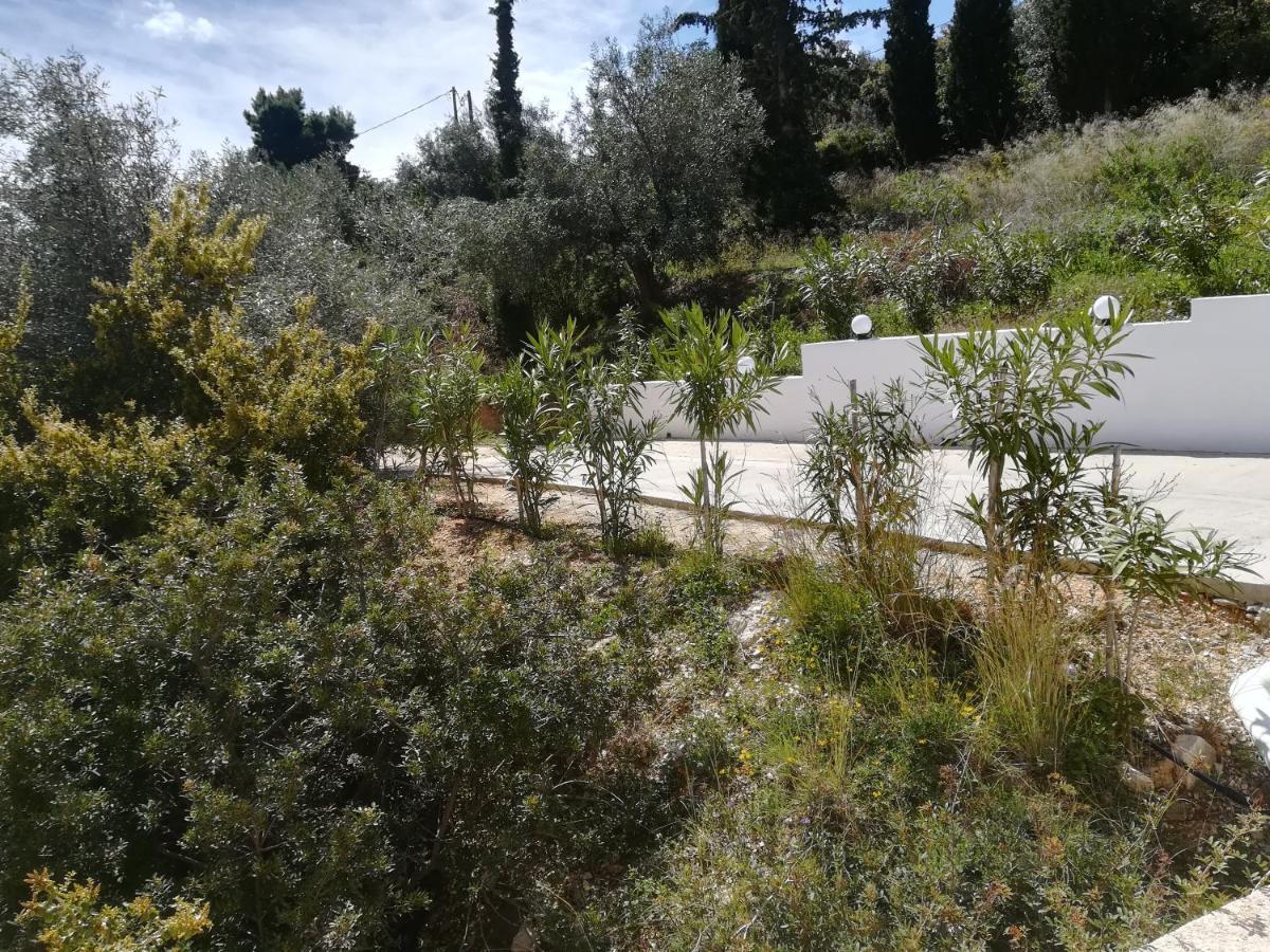 הוילה טולון Stone House In Olive Grove מראה חיצוני תמונה