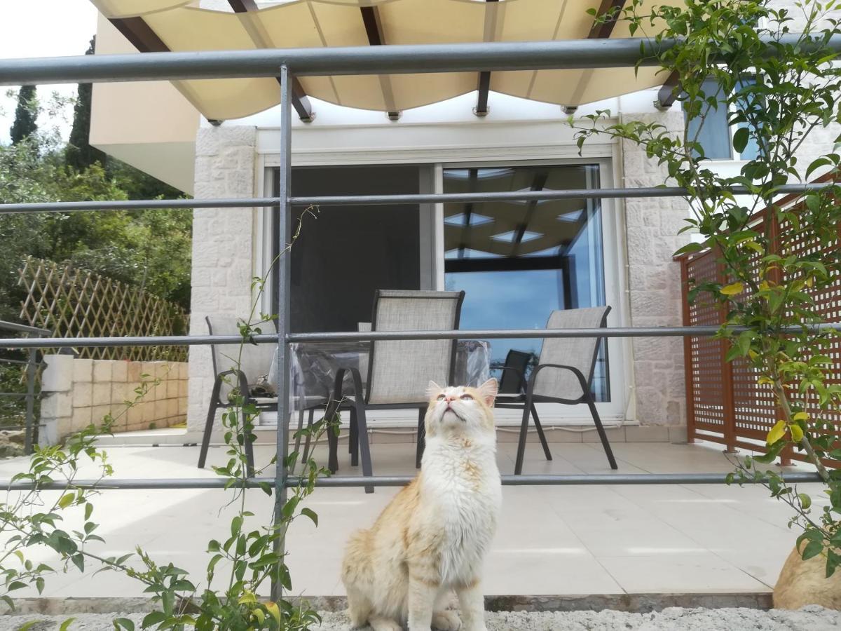הוילה טולון Stone House In Olive Grove מראה חיצוני תמונה
