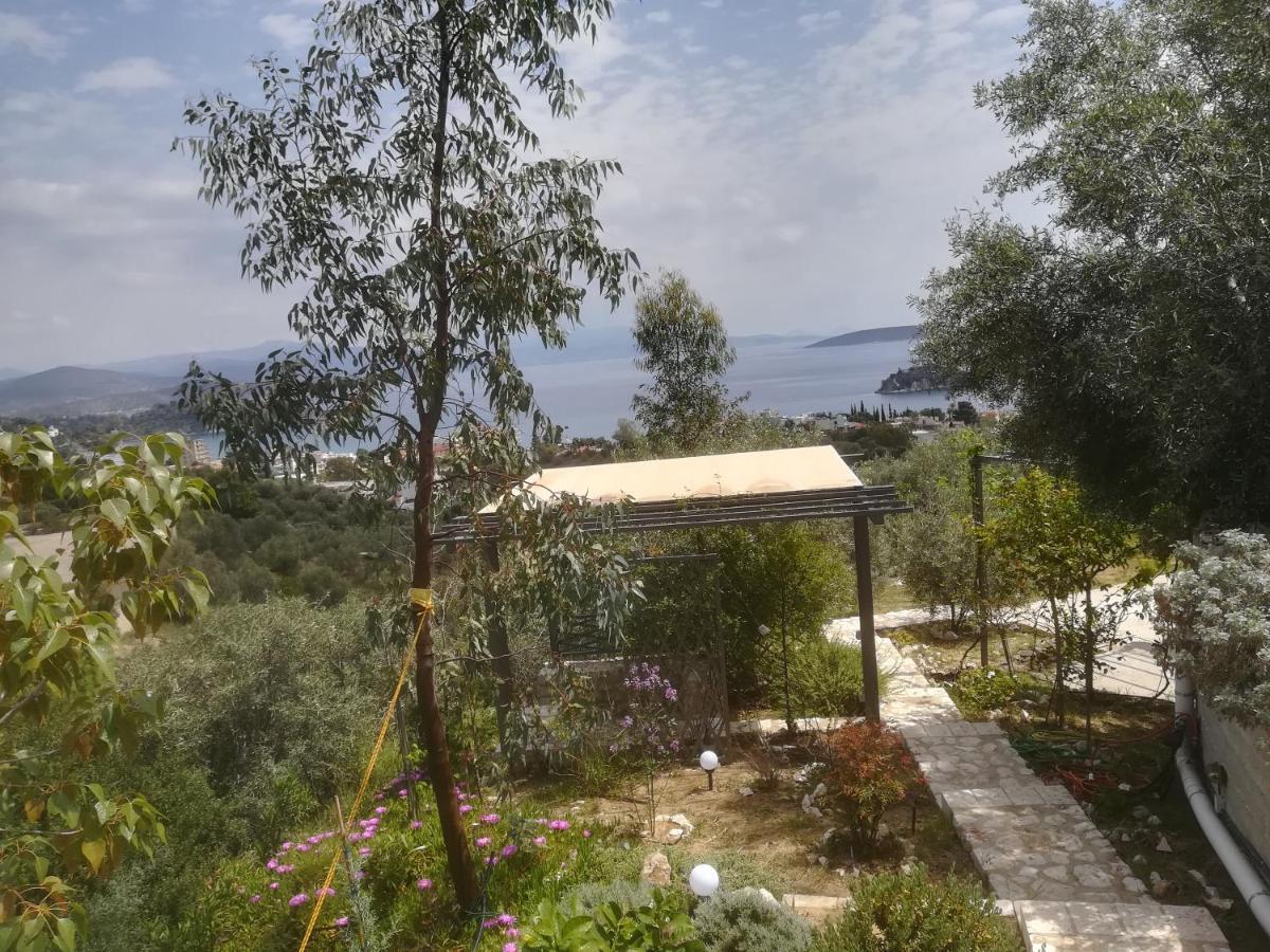 הוילה טולון Stone House In Olive Grove מראה חיצוני תמונה