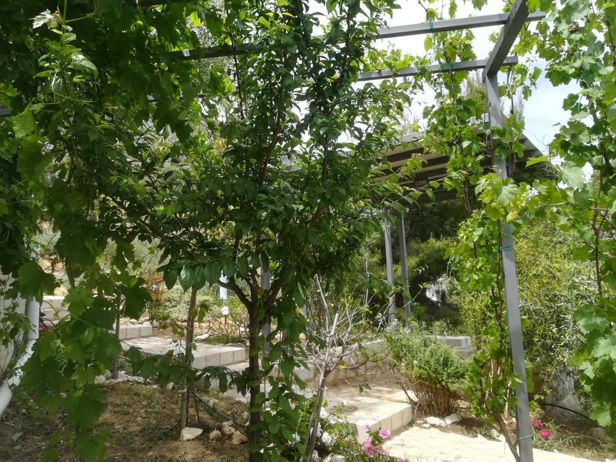 הוילה טולון Stone House In Olive Grove מראה חיצוני תמונה