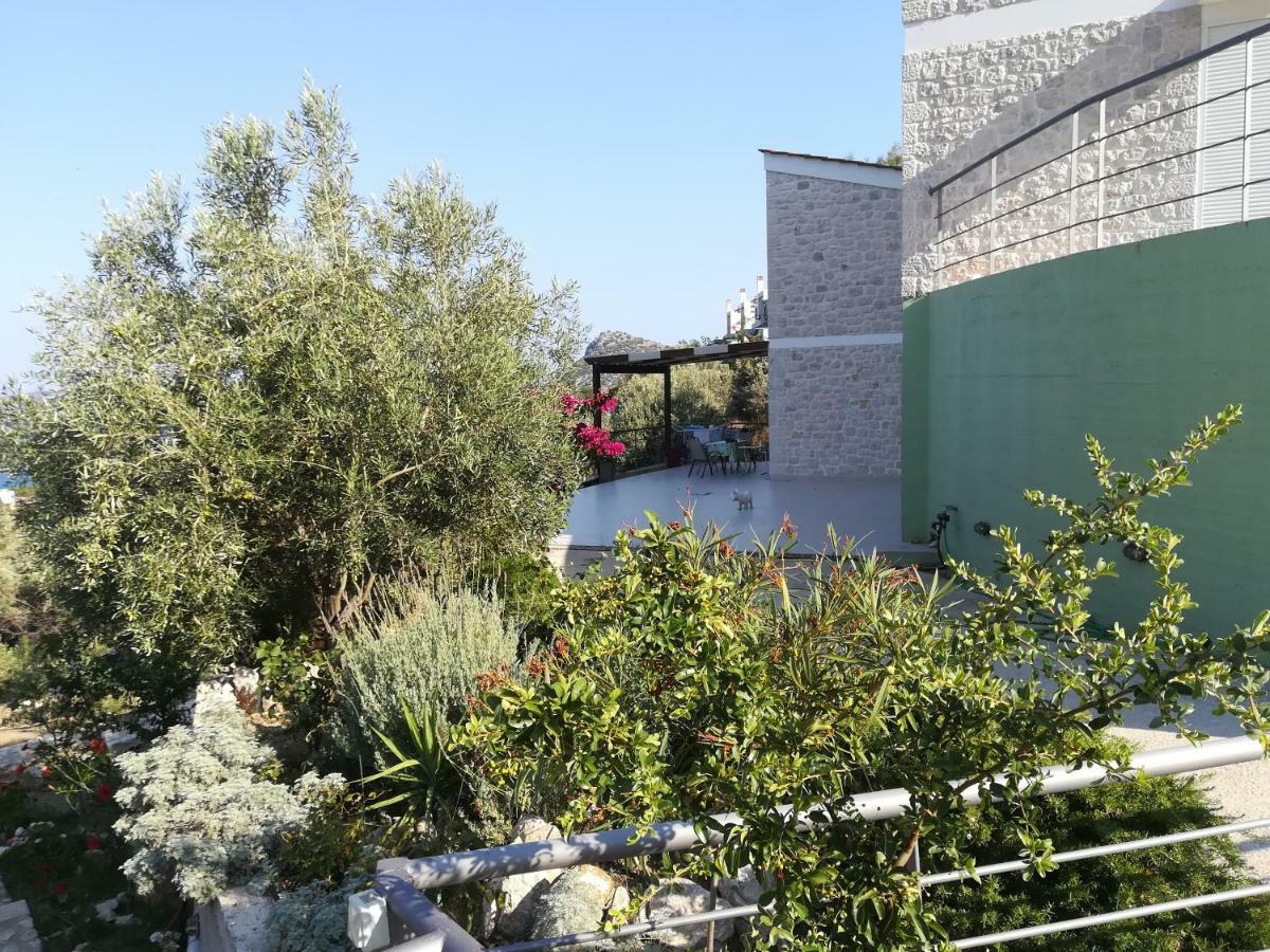 הוילה טולון Stone House In Olive Grove מראה חיצוני תמונה