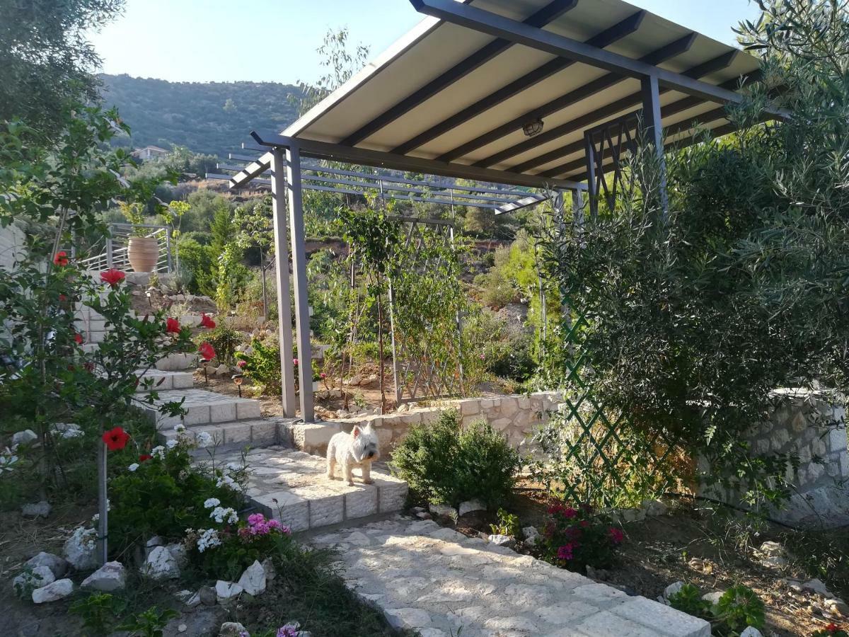 הוילה טולון Stone House In Olive Grove מראה חיצוני תמונה