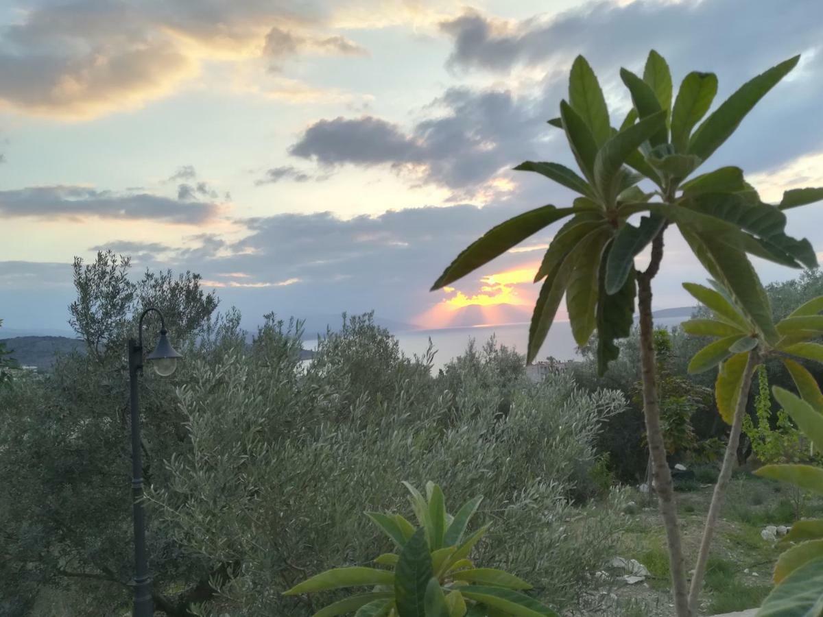 הוילה טולון Stone House In Olive Grove מראה חיצוני תמונה