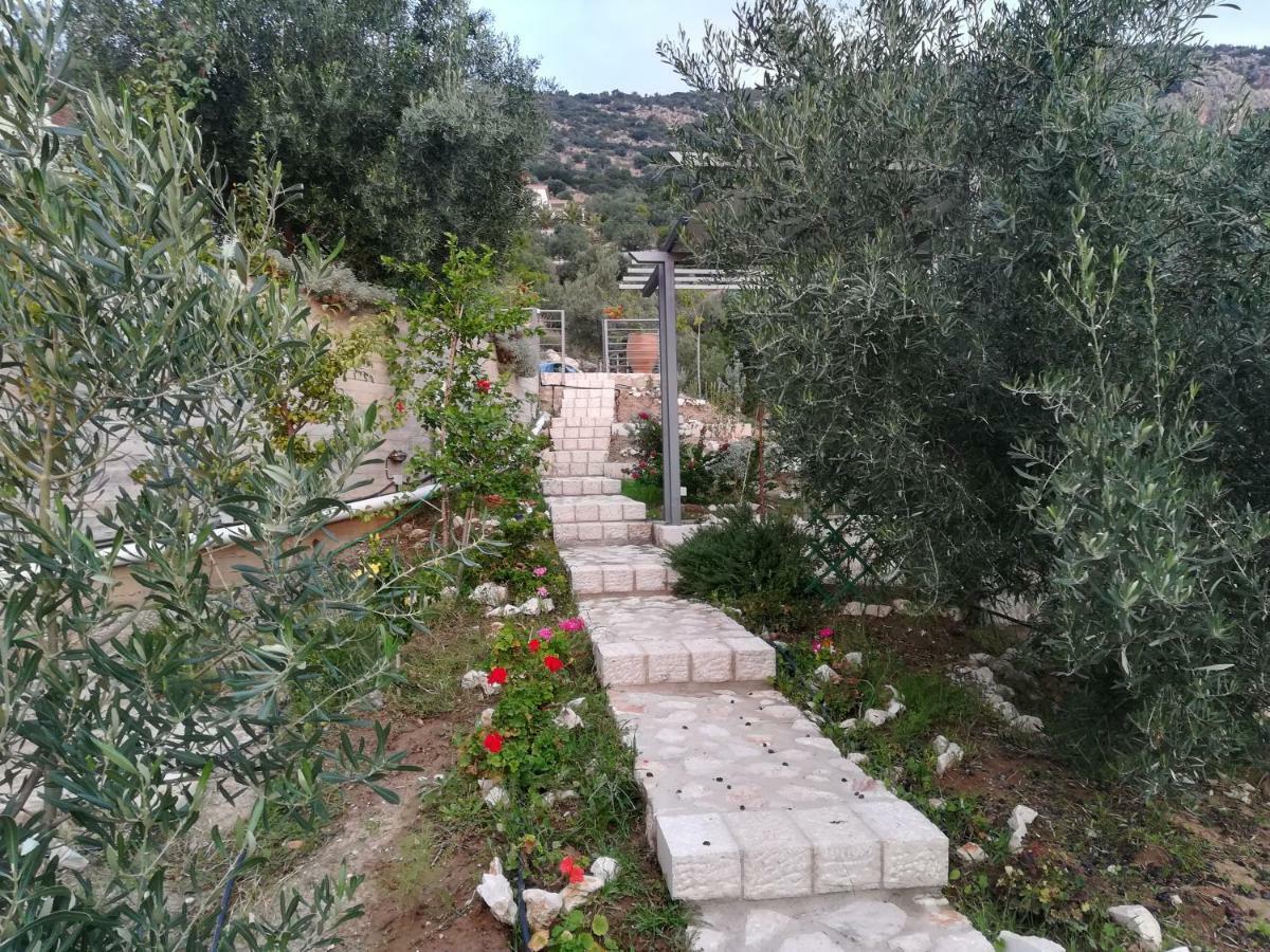 הוילה טולון Stone House In Olive Grove מראה חיצוני תמונה