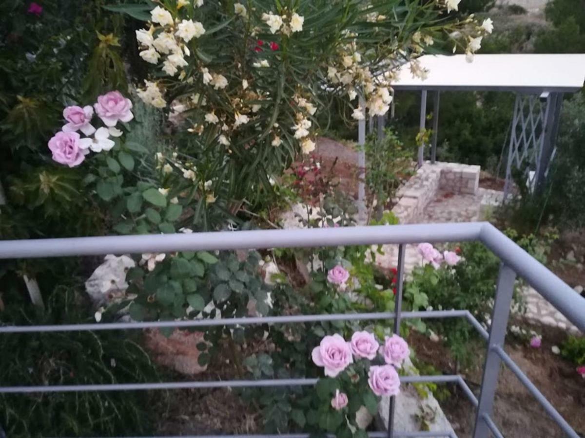 הוילה טולון Stone House In Olive Grove מראה חיצוני תמונה
